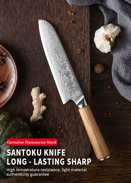 FUJUNI FQ Series Damascus Steel 7"Santoku Knife