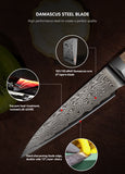 FUJUNI LF Series Damascus Steel 3.5" Paring Knife