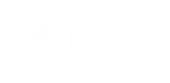 DYCOOK
