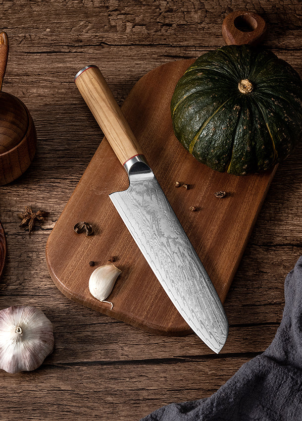 FUJUNI Santoku Knife 7-Inch VG-10 Cutting Core 67-Layer Damascus Professional Kitchen Knife Chef’s Knife with Natural Wood Hexagon Handle and Gift